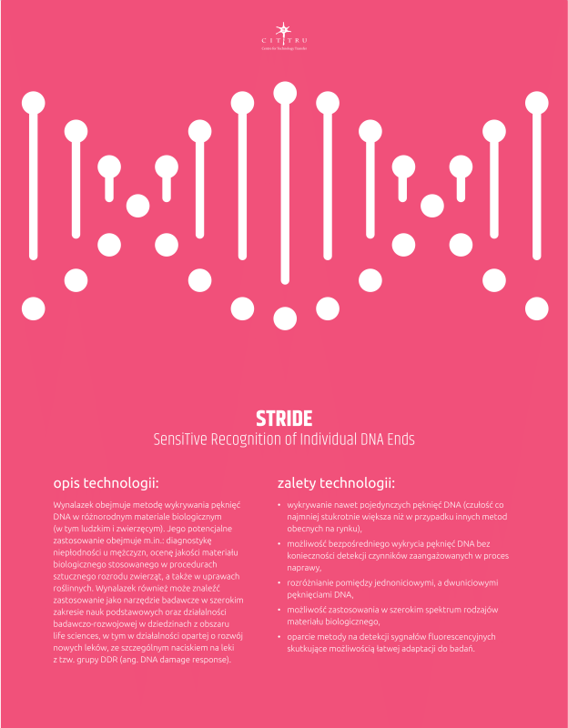 Plakat STRIDE przedstawiający DNA
